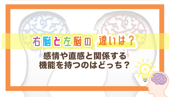 右脳と左脳の違いは？感情や直感と関係する機能を持つのはどっち？